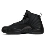 air_jordan_12_retro_winterized__triple_black__bq68_0_4813.jpeg