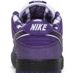 concepts_x_nike_sb_dunk_low__purple_lobster__bv131_0_1663.jpeg